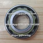 Gcr15 Steel Cylindrical Roller Bearing VW AG INA F-627405.02.RN PEER Material