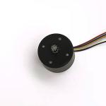 Faradyi Customized Specification 8000 rpm High Speed Micro Brushless Motor 36