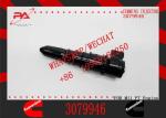 Genuine NTA855 diesel engine injector 3068825 3071492 3071494 3071497 3079946