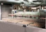 Paper Pulp 600 m2 Corrugated Egg Carton Machine