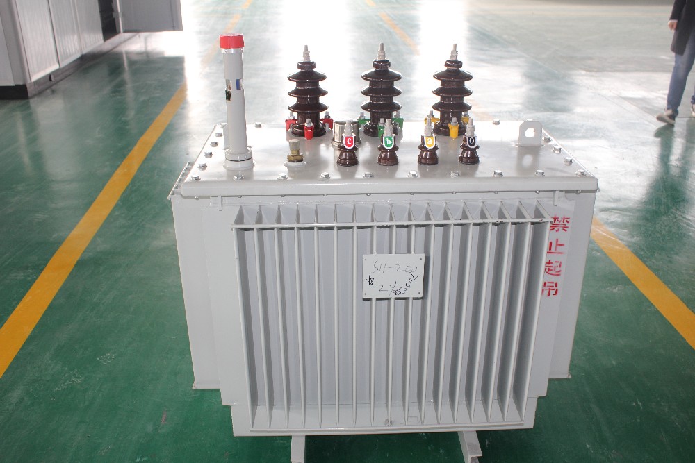 11/0.4kv 400kVA Oil Immersed Distribution Transformer with Kema Certificate