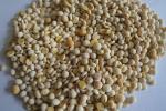 100kg-300kg dry mung bean sheller soy crusher per hour YTPS-18B Peeling Machine