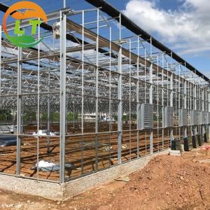 Wholesale Hydroponic Agriculture Glass Greenhouse with Top Ventilation Side Ventilation System from china suppliers
