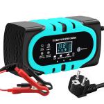12V 6V 10A 15A 20A 2A Lead Acid Battery Charger with Current Protection Private