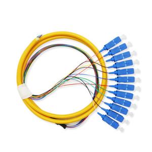 Wholesale 12 Core Fiber Optic Patch Cord Pigtail Sc Connector For Telecommunication Equipment from china suppliers
