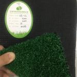 Plastic Backyard Putting Green Real Grass Long Life Flooring High Simulate