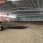 Professional Designed Steel Structure Building Portal Crane Workshop
