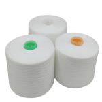Poly Spun Yarn 100% Polyester High Tenacity Colorful Sewing Poly Spun Knitting