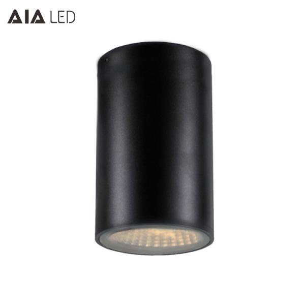 IP65 waterproof cylinder 30W led down light &exterior dimmable downlight led