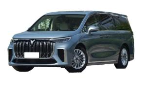 Wholesale High Stability Voyah EV 500W Electric Vehicle With 25km/H Max Speed from china suppliers