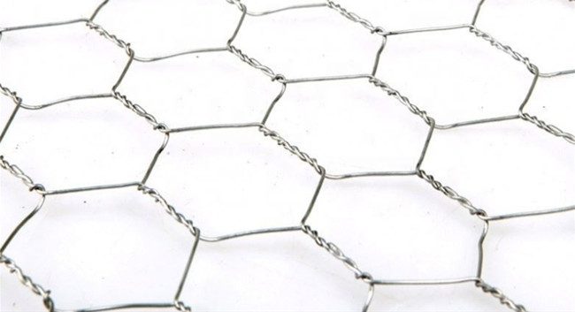 HDG Hexagonal Chicken Mesh Fence Q195 0.5m Width For Poultry