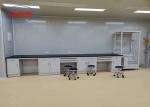 Gray White Laboratory Casework With Black Phenolic Resin Countertop In College