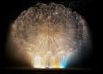Amazing Dandelion Water Fountain , Mini Music Fountain Subject Theme Customized