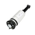 Front Land Rover Air Suspension for Discovery 3 Rnb501580 Rnb501250