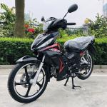 TOP quality and popular motorcycle 110CC cub