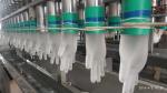 Clear Disposable Vinyl Exam Gloves With Rolled Rim Power Free Wear Resistant