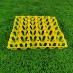 Industrial Egg Tray For Agriculture Market Customizable Design