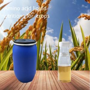 Wholesale Liquid 5%Organic Calcium And 2% Organic Nitrogen Enzymatic Amino Acid Organic Fertilizer from china suppliers