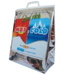 Food Delivery Hot Cold Insulated Bags Aluminum Foil EPE PE ASP
