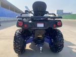 10 Inch Tire Size Professional Jungle Edition Dune Buggy for Petrol Sports ATV