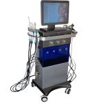 H2O2 High Frequency Machine Facial Treatment 10 In 1 Skin Treatment Beauty