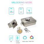 Electric Keyless Rim Gate Cabinet Waterproof IP65 Smart WIFI Door Lock