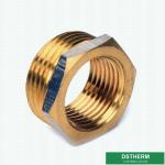 Double Female Threaded Coupling Plug Screw Fittings Compression Brass Fittings