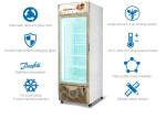 Vertical Upright Display Showcase Freezer For Ice-Cream & Frozen Products