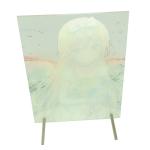 Factory Oem Wholesale acrylic figure display Photo Frames