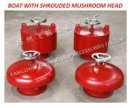 Externally open mushroom vents with Dg=100 are usually marked as: hood