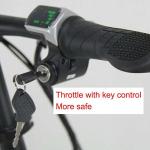 Green Power Electric Folding Bike Lithium Hidden Battery Rich Bit Top-618