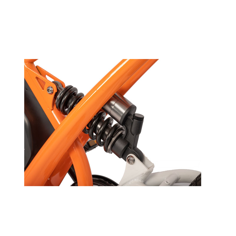 48V Electric Bike with 13Ah Battery 750W 1000W Motor 7 Speed 20" Tire and 180KG Load