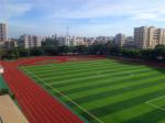 Field / Olive Green Playground Artificial Turf False Grass Lawns Anti-UV