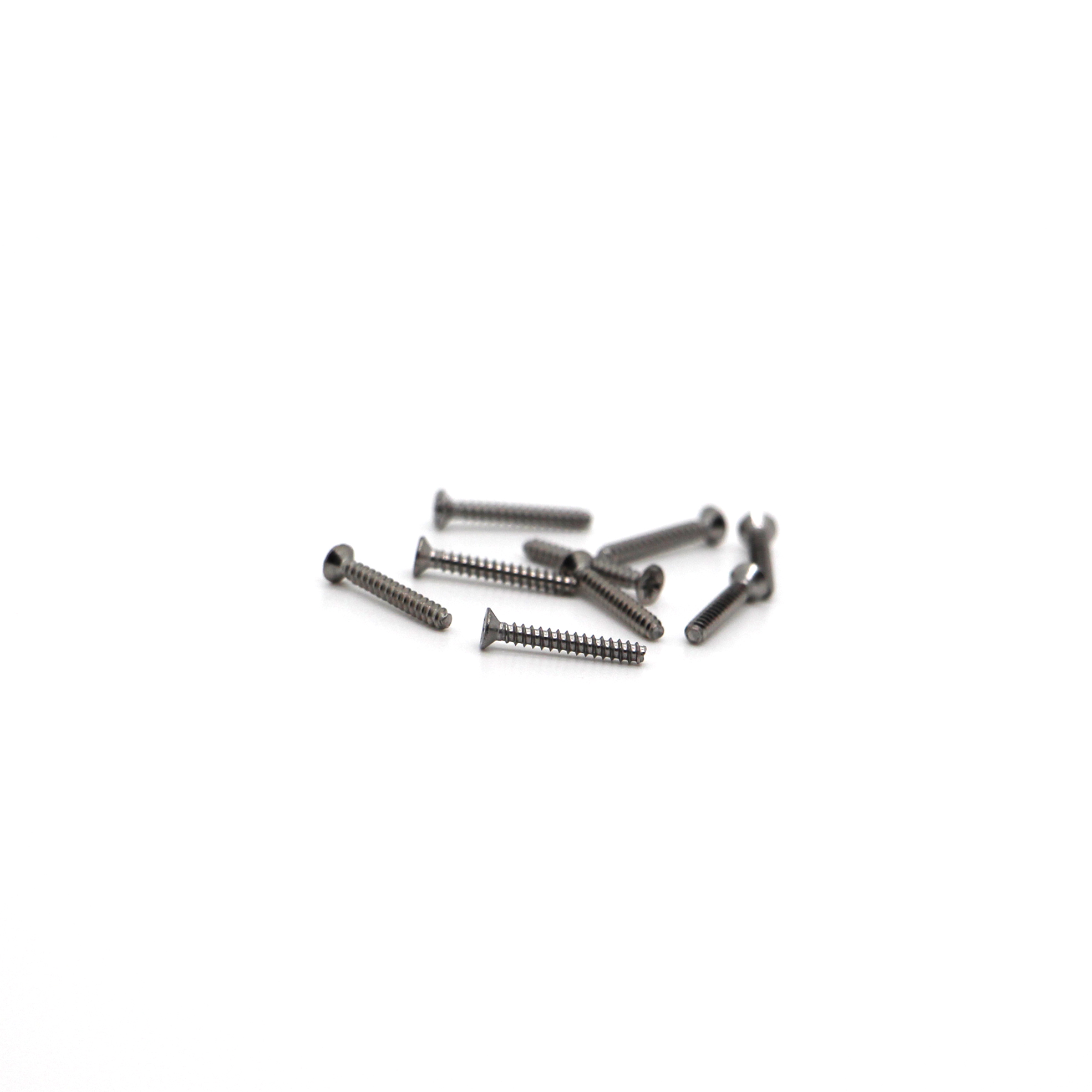 Stainless Steel Pan Head Cutting Tail Self-Tapping Screw Spherical in Shape Aesthetically Micro Screws