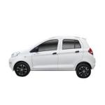 Raysince hot sales model new energy electric car 5 door 4 Seat electric saloon