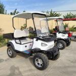 2 Seater Electric Golf Cart Hopper Outdoor Car With Cargo Transporting Hunter