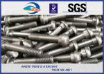 Grade 8.8 Bridge / Railway Bolt Fish Bolts For Fasten Rail Joints