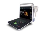 4 D 15 Inch LED Diagnostic Color Doppler Ultrasound Scanner With 2 Probe