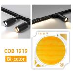 Double Colors COB LED Chips 1919 18W 25W 30W with CCT 620nm/460nm/520nm and VF