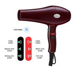 Multifunctional AC 2600 Watt Blow Dryer , 50Hz Portable Travel Hair Dryer