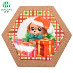 Natural Eco-Friendly Hexagon Custom Logo Ceramic Cork Trivets