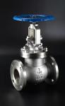 150LB CF8M Stainless steel flange end globe valve