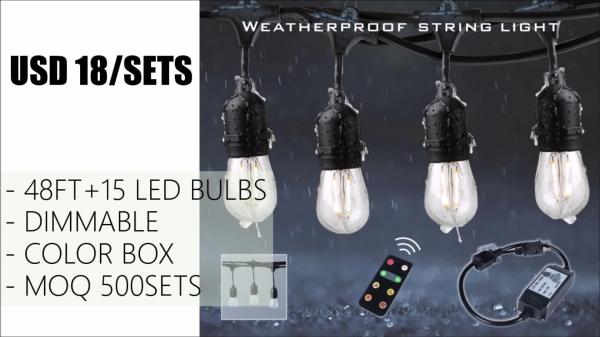 IP65 Waterproof LED ETL Connectable Christmas Lights Decoration Wedding Party