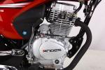 Comfortable Custom Street Motorcycles Powerful Engine For Business Or Family