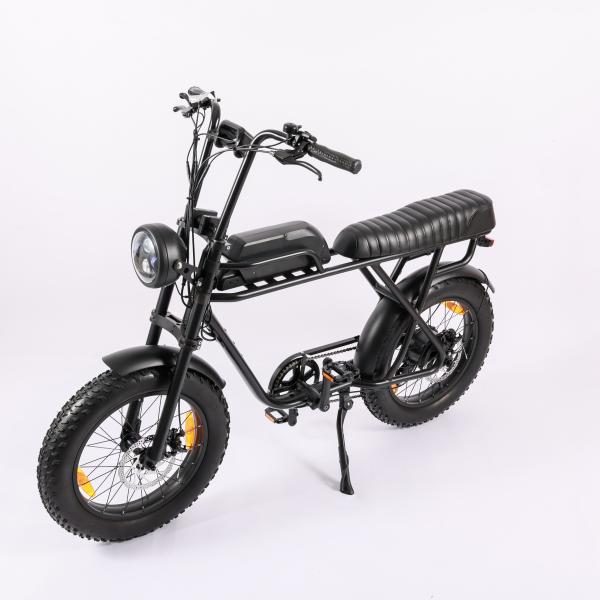 48V Battery Electric Bike for Adults 750W 1000W Motor 7 Speed 20" Tire and Front