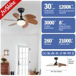 1stshine/OEM Logo 6 Blades LED Light Kit Residential BLDC Ceiling Fan with 2-