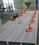 Modern Automatic Broiler Chicken Farming Equipment H Type Poultry Broiler Cage
