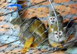 Recyclable Stainless Steel Woven Wire Mesh 30x30mm For Bird Cages 7x19