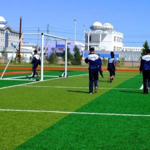 Wholesale High Dtex Football Synthetic Grass S Shape Strong With UV Protection from china suppliers