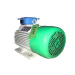 Alternative Energy Permanent Magnet Generator 5kw 10kw 12kw 50kw